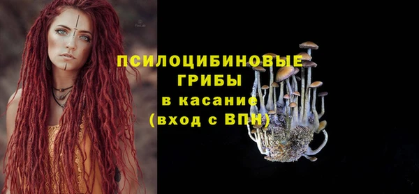 мет Протвино