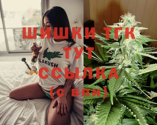 мдпв Снежинск
