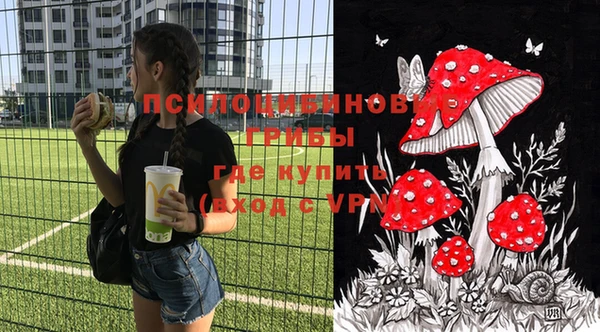 трава Снежногорск