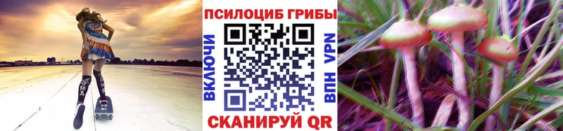 Галлюциногенные грибы GOLDEN TEACHER  что такое наркотик  Липки 